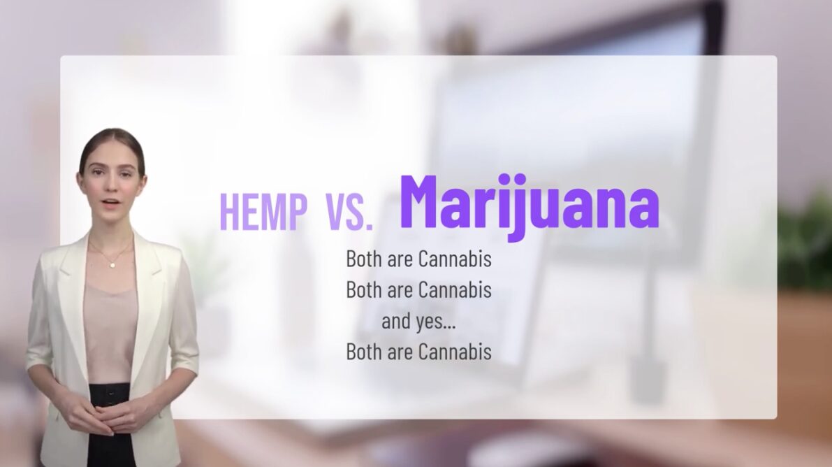 Hemp vs. marijuana video