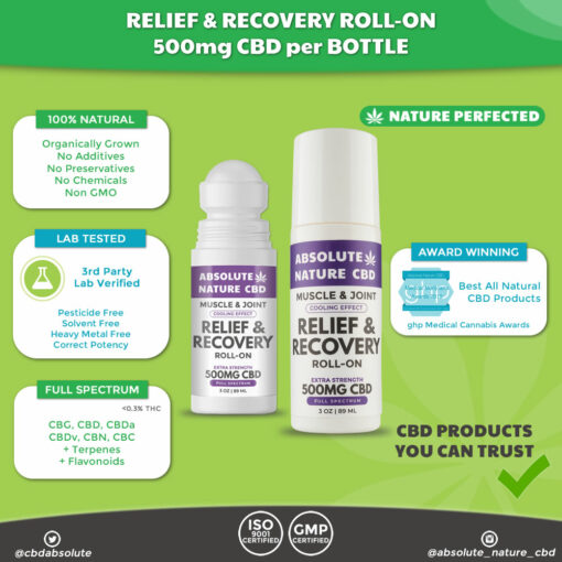 Absolute Nature Full Spectrum CBD Cooling 500mg Roll-On