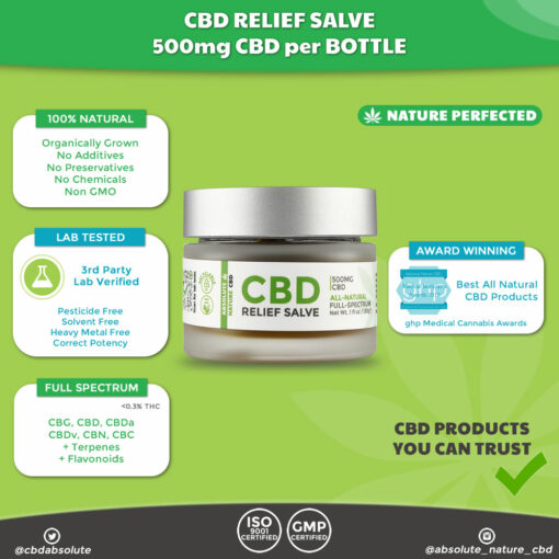 Absolute Nature CBD Full Spectrum CBD Topical Salve – 500mg CBD