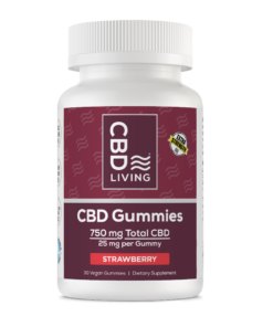CBD Living CBD Gummies Strawberry 750mg with 25mg nano CBD per gummy