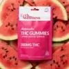 Erth Wellness Watermelon THC Gummies 300mg Delta 9 indica pouch